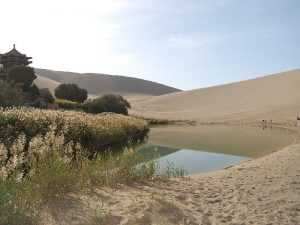 Озеро в пустыне Гоби фото
